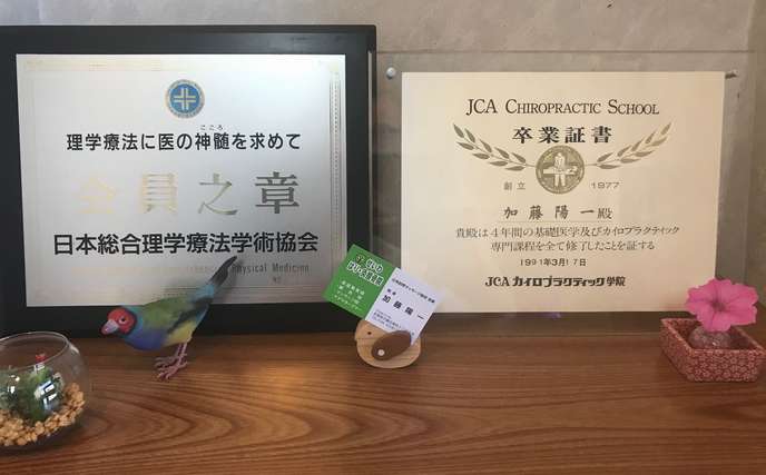 日本総合理学療法学術協会会員証・JCAカイロプラティック学院卒業証書